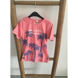  Roze