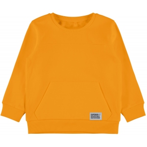 Golden orange