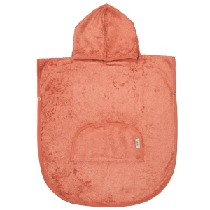 Apricot blush