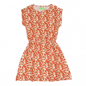 Yara Dress Summer Berries