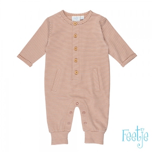 Pak - Little ONe Bruin