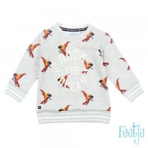 Sweater - Treasure Hunter Grijs melange