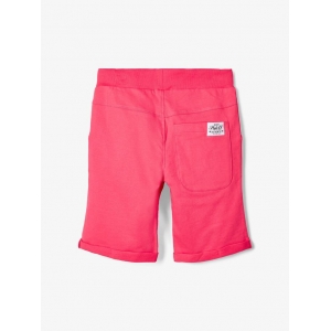  calypso coral