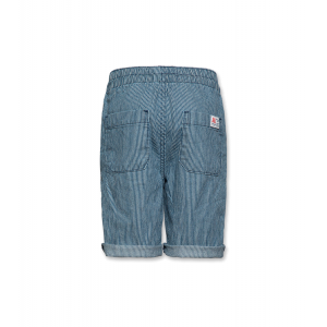 Andy striped shorts Blue