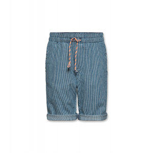 Andy striped shorts Blue