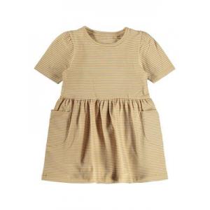  spruce yellow