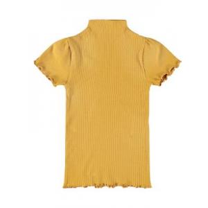  spruce yellow