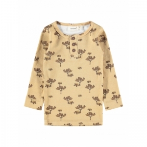  taos taupe