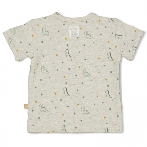 t-shirt-dinomite grijs melange