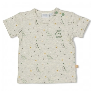 t-shirt-dinomite grijs melange