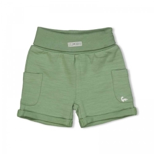 short-dinomite groen
