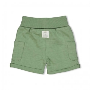 short-dinomite groen