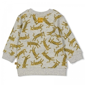 sweater-go wild grijs melange