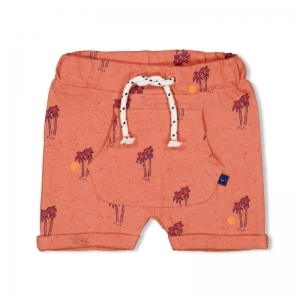 short-here comes the fun koraal