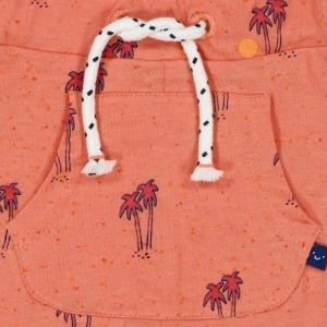 short-here comes the fun koraal