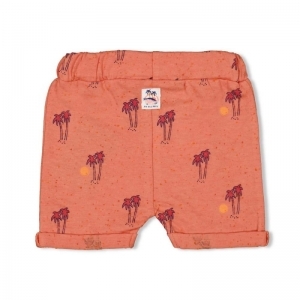 short-here comes the fun koraal