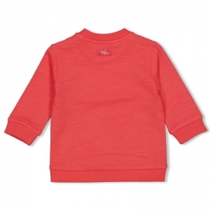 sweater-cherry sweetness rood