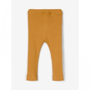 spruce yellow