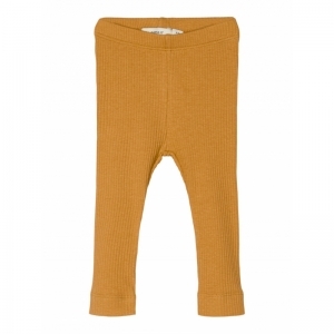 spruce yellow