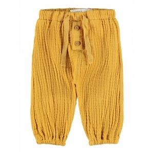  spruce yellow