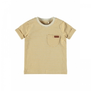  spruce yellow