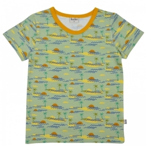 dionshirt island