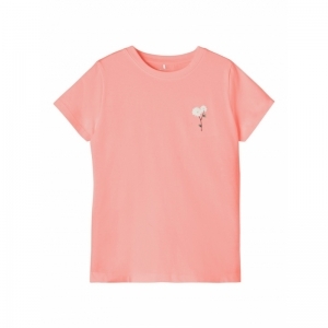  apricot blush