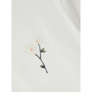  white alyssum