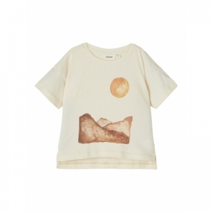  turtledove