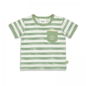 51700738 groen