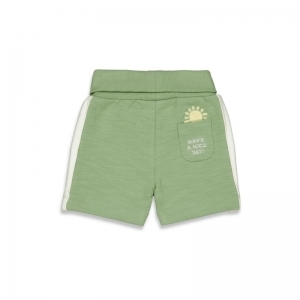 52100305 groen