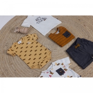 51700704 camel