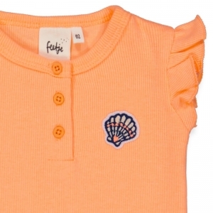 shells neon koraal