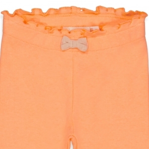 shells neon koraal