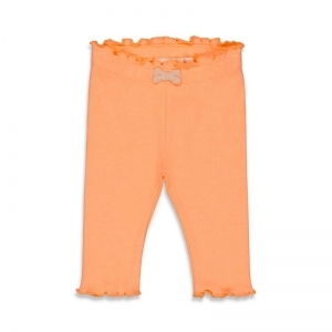 shells neon koraal