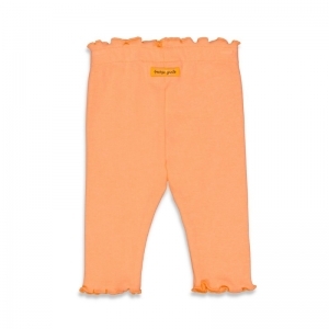 shells neon koraal