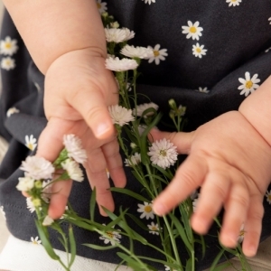 have a nice daisy antraciet