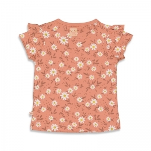 have a nice daisy tetra pink