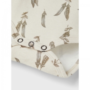  turtledove