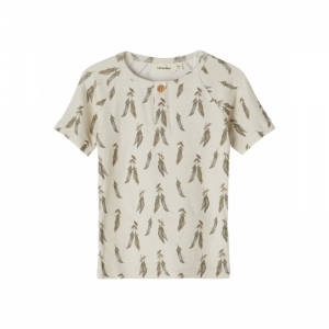  turtledove