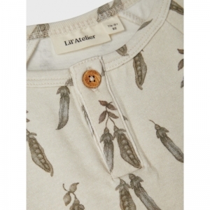  turtledove