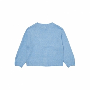 little boy blue