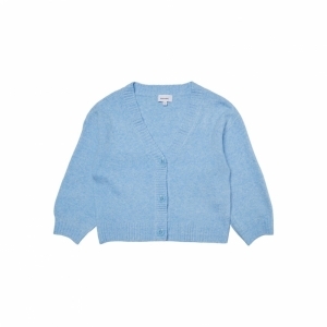 little boy blue