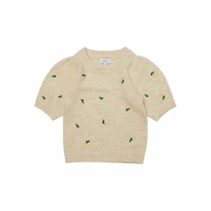  birch