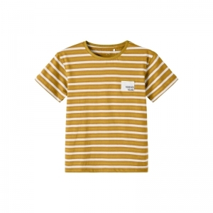  spicy mustard