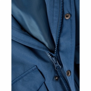 insignia blue