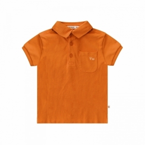 YSS23-410EBI flame