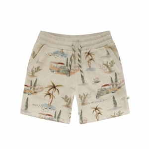 YSS23-998EBG multicolor