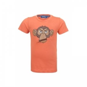 SB02.231.22635 t-shirt bright orange