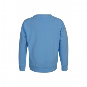 sb16.231.22459 sweater  blue